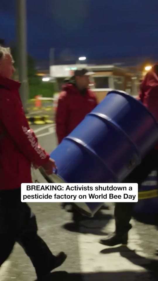 Post 2 by Greenpeace UK on TikTok (video)