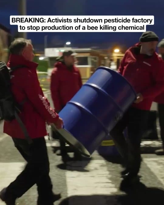 Post 3 by Greenpeace UK on TikTok (video)