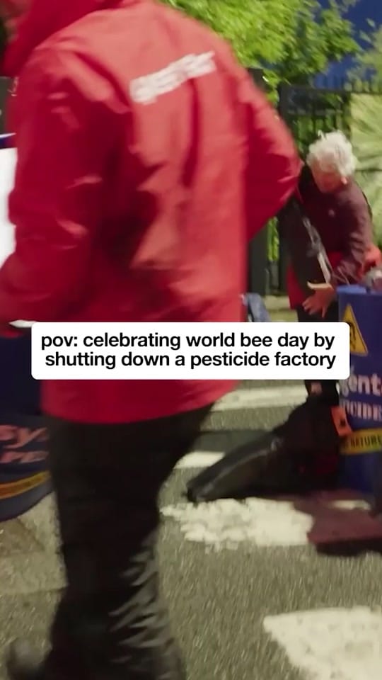 Post 1 by Greenpeace UK on TikTok (video)
