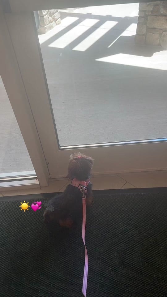 Post 1 by drivenwithdee.wellness on TikTok (video)