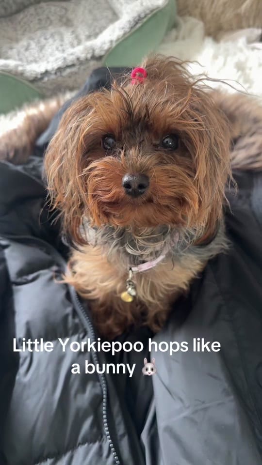 Post 8 by drivenwithdee.wellness on TikTok (video)