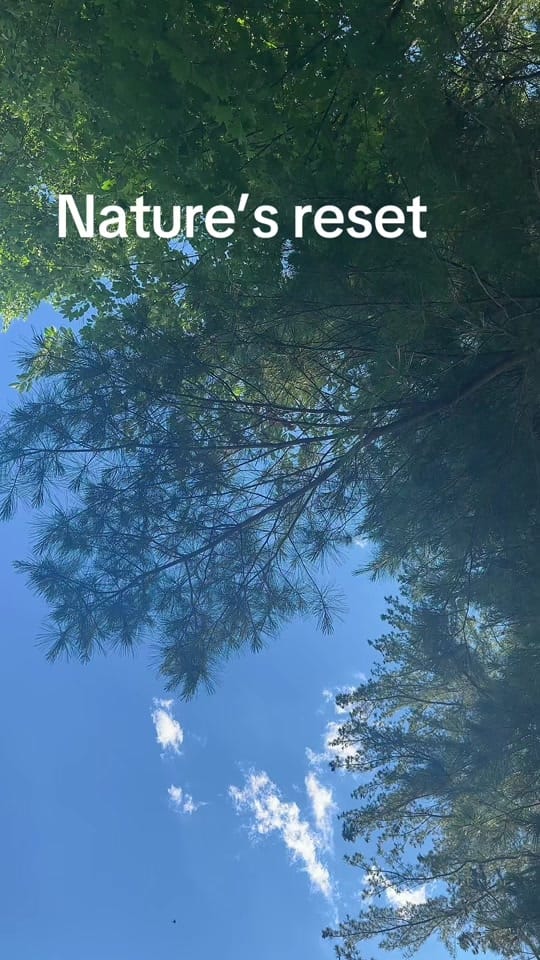 Post 2 by drivenwithdee.wellness on TikTok (video)