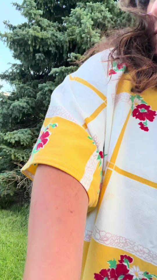 Post 5 by annmarie_🪡🪿 on TikTok (video)