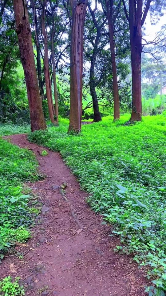 Post 6 by Wellness with keysan on TikTok (video)