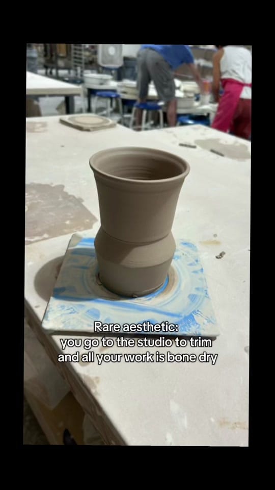 Post 3 by Still Life Studios on TikTok (video)