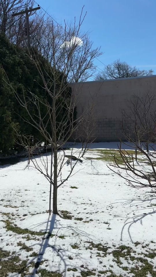 Post 8 by Still Life Studios on TikTok (video)