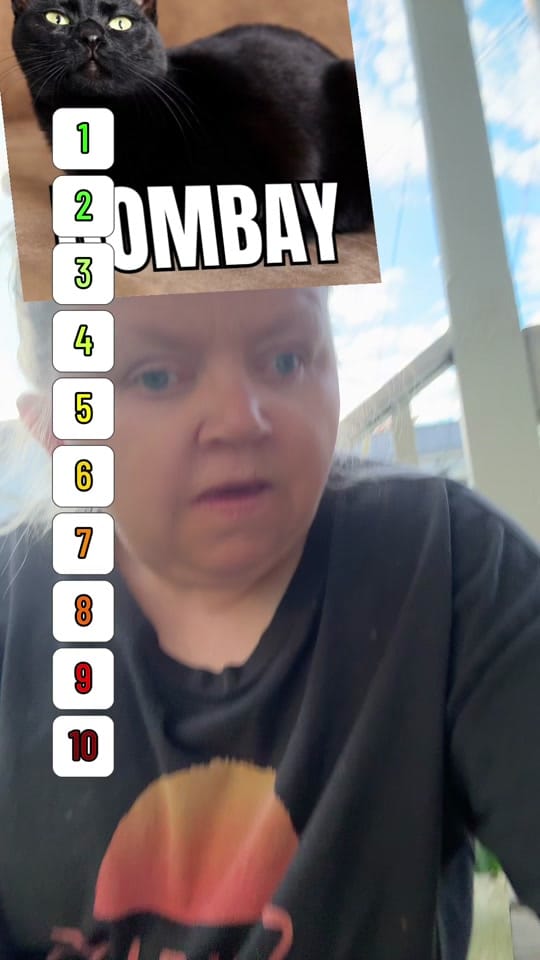 Post 3 by Casey🫶🏻 on TikTok (video)