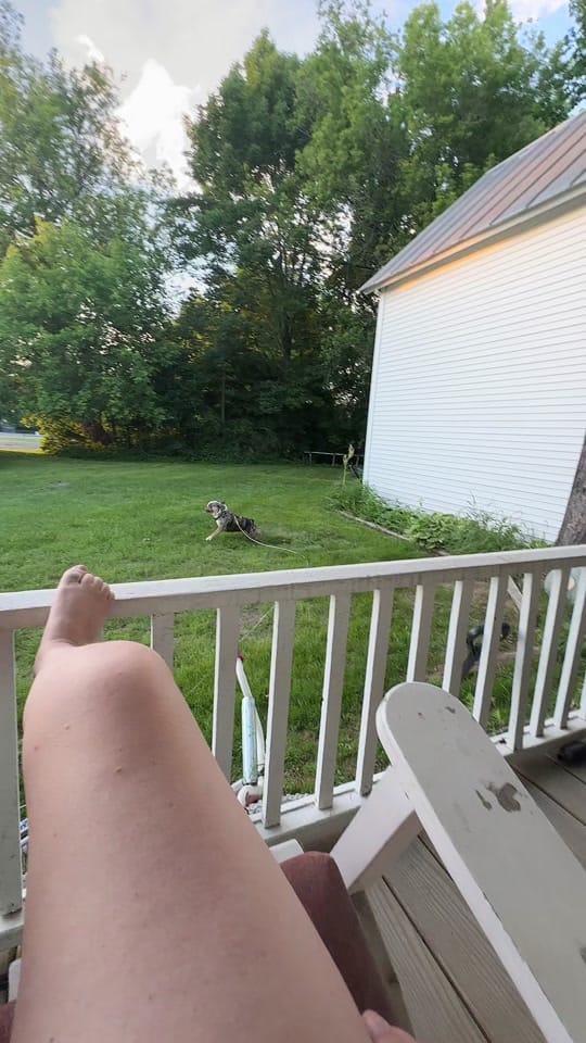 Post 6 by Casey🫶🏻 on TikTok (video)