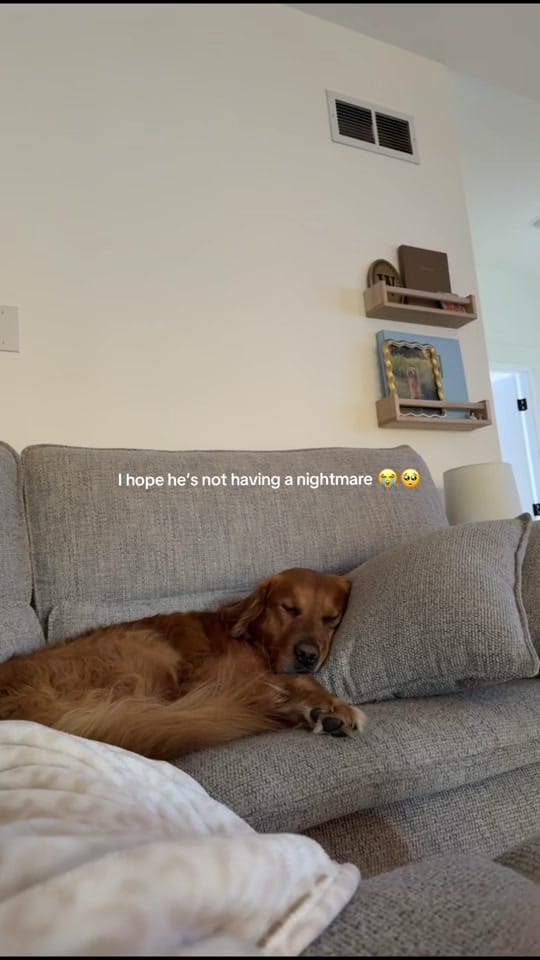 Post 4 by butterballinglex on TikTok (video)