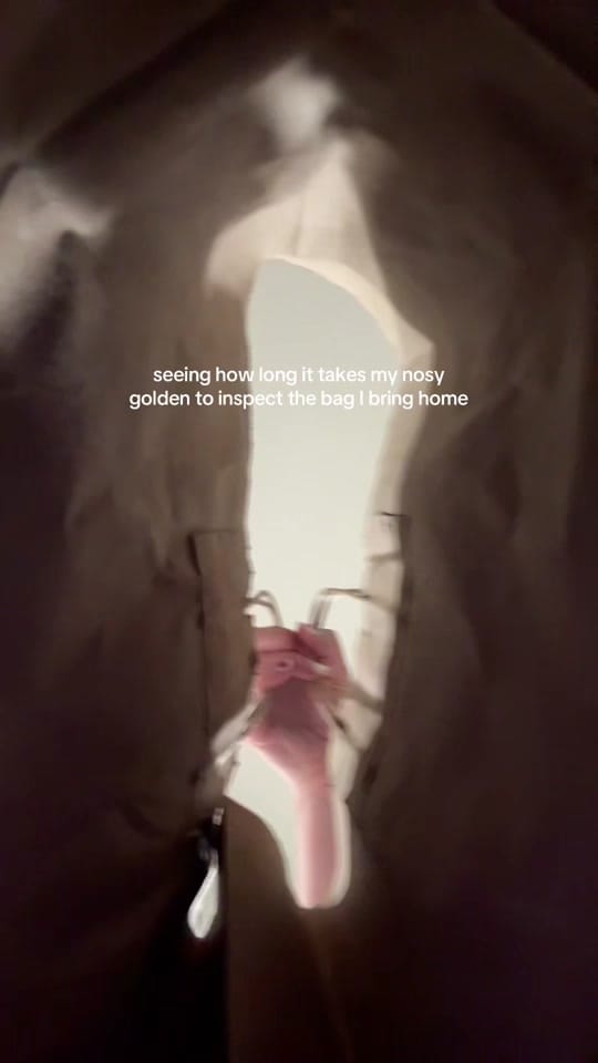 Post 1 by butterballinglex on TikTok (video)