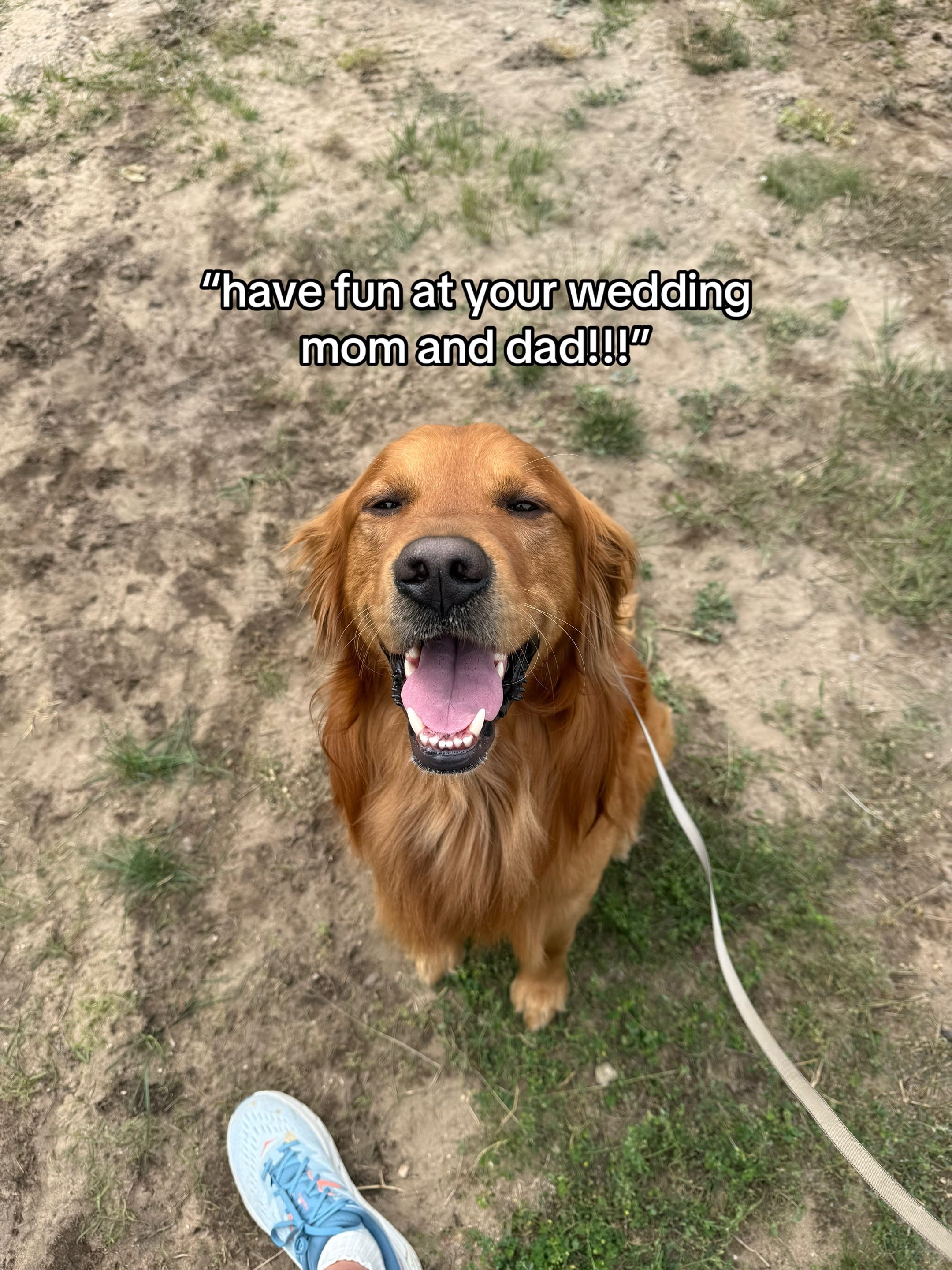 Post 8 by butterballinglex on TikTok (video)