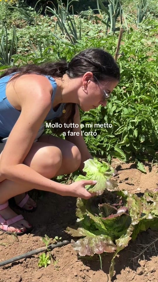 Post 3 by Clarainthemirror on TikTok (video)