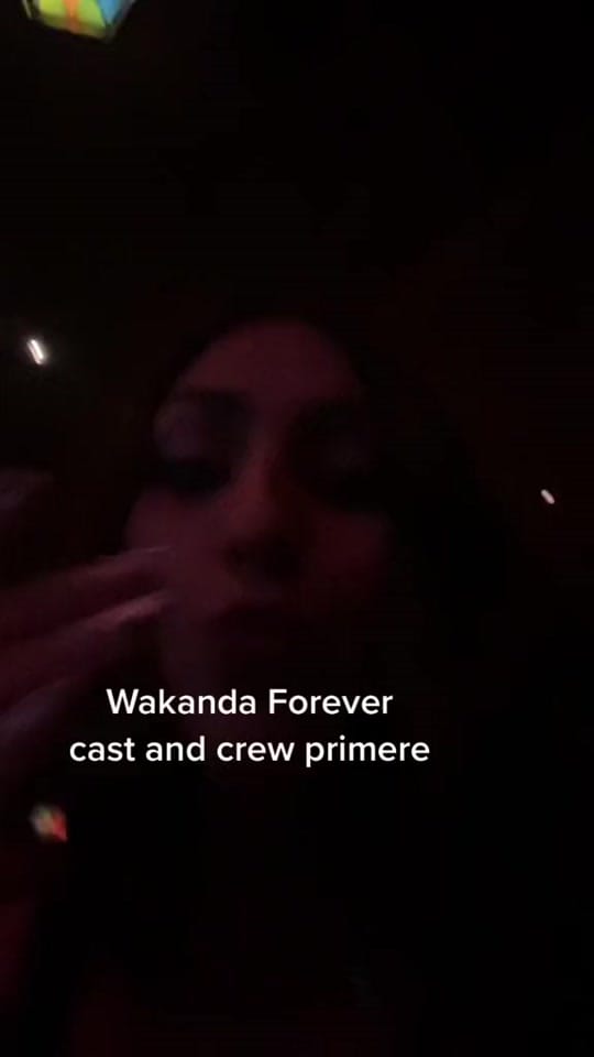Post 1 by Paige Areizaga on TikTok (video)