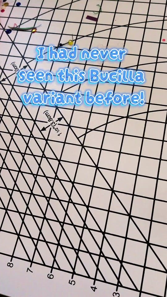 Post 7 by Eva | Felt Crafts & Bucilla 🪡 on TikTok (video)