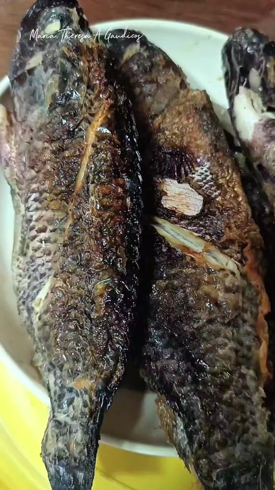 Post 3 by Maria Vlog on TikTok (video)