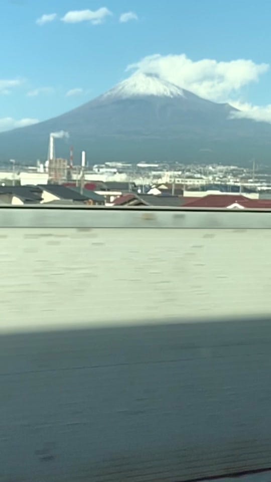 Post 2 by 🌱Chef Vegeta🌱 on TikTok (video)