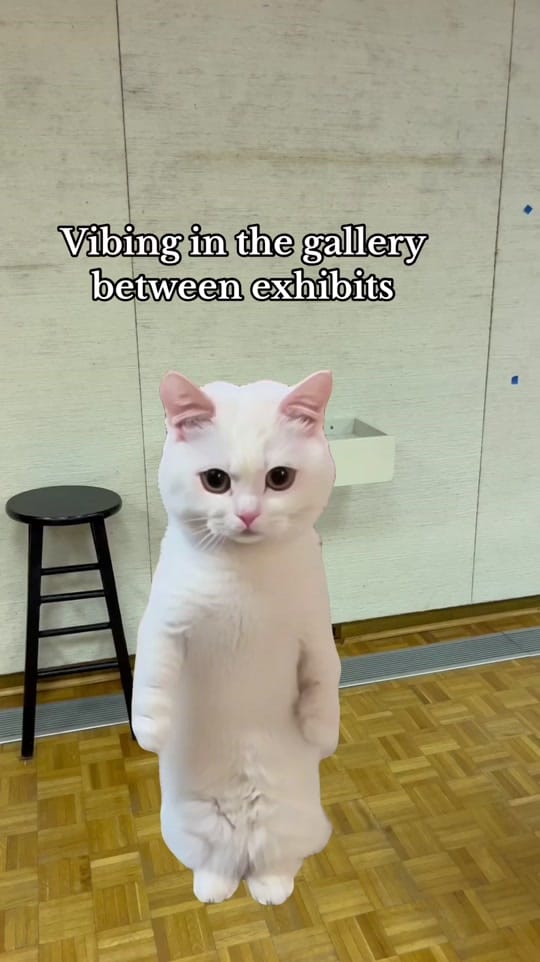 Post 4 by Mabee-Gerrer Museum of Art on TikTok (video)