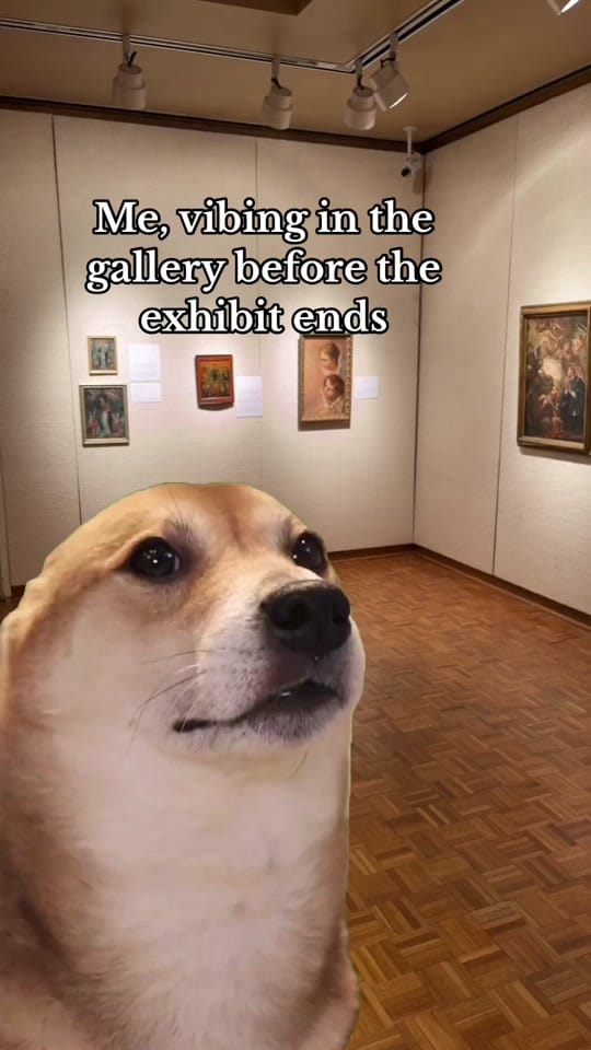 Post 6 by Mabee-Gerrer Museum of Art on TikTok (video)