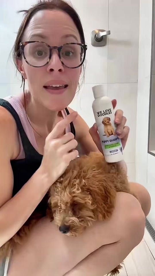 Post 5 by Amber Porter | Home Finds on TikTok (video)