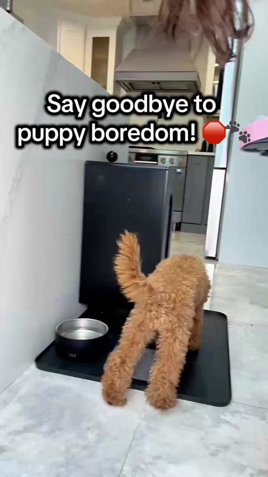 Post 6 by Amber Porter | Home Finds on TikTok (video)