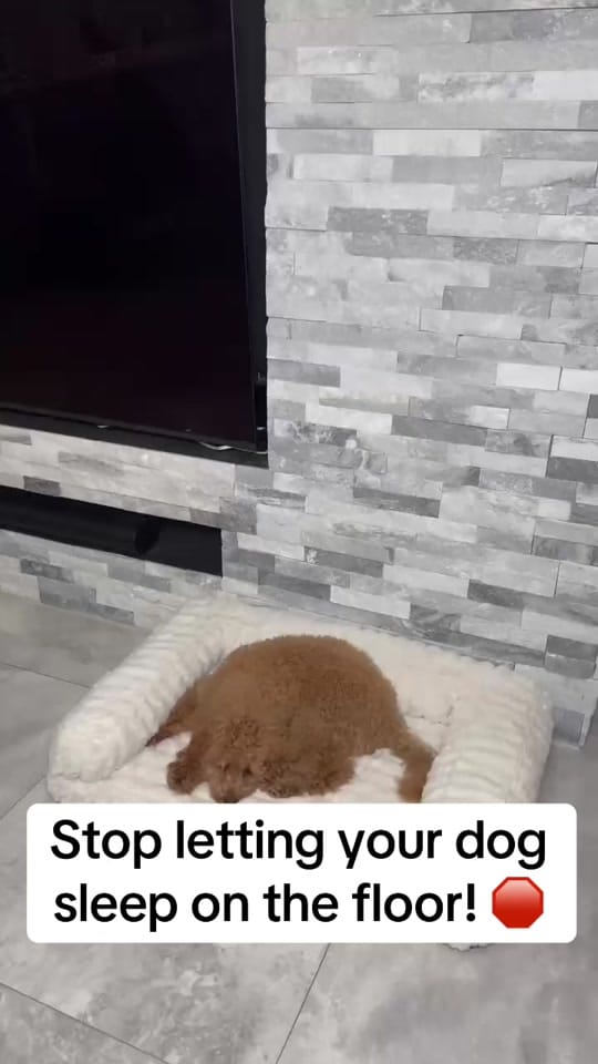 Post 8 by Amber Porter | Home Finds on TikTok (video)