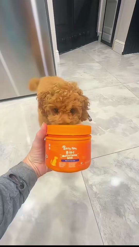 Post 1 by Amber Porter | Home Finds on TikTok (video)