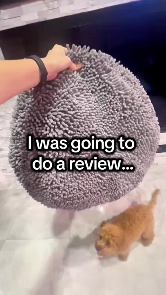 Post 9 by Amber Porter | Home Finds on TikTok (video)