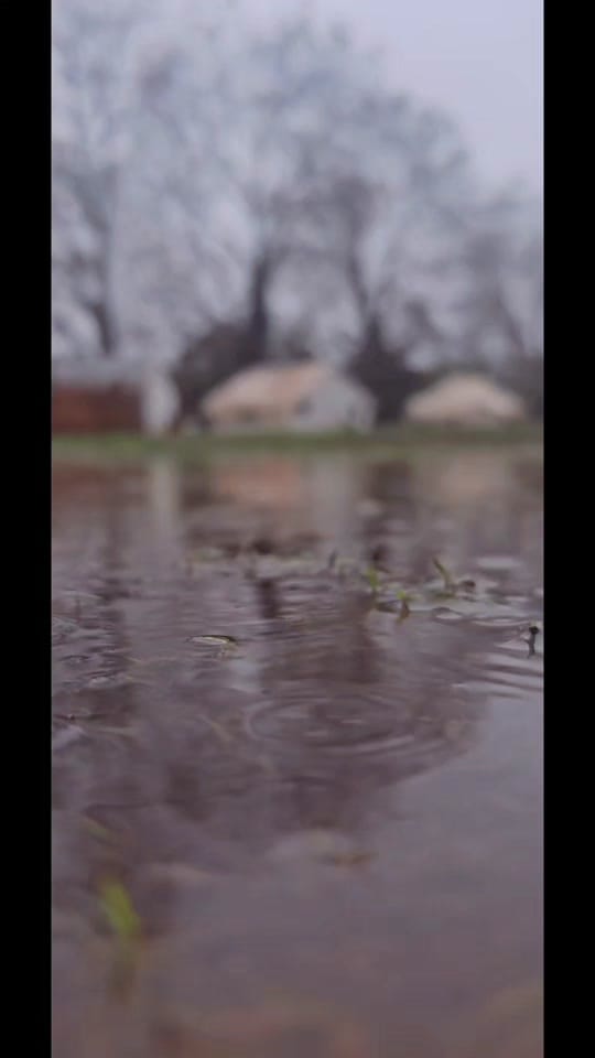 Post 2 by belltentvillageparks on TikTok (video)