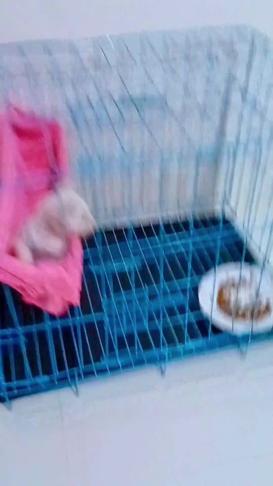Post 1 by 🏵️ ÄKÏËSHÄ HILÅRIÖ🏵️ on TikTok (video)