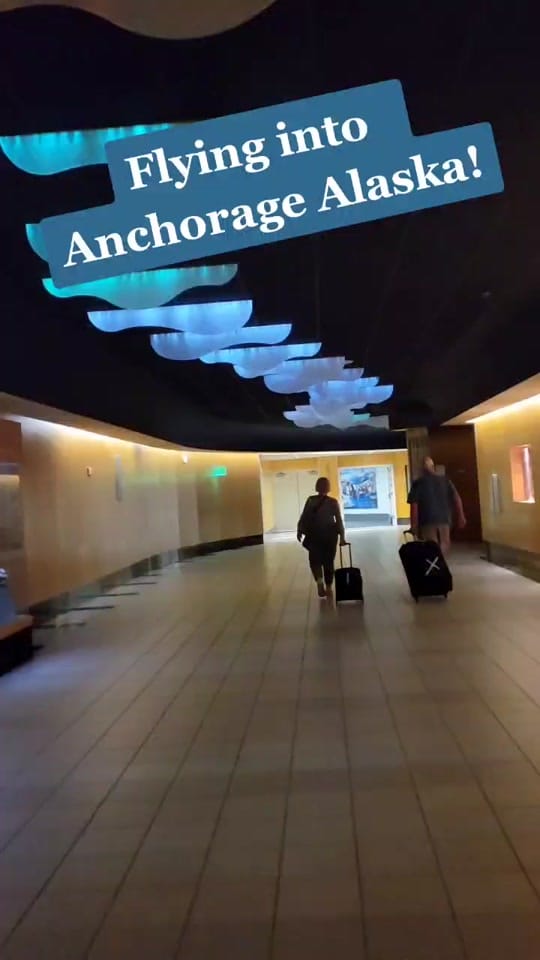 Post 6 by Kelly Gilmore on TikTok (video)
