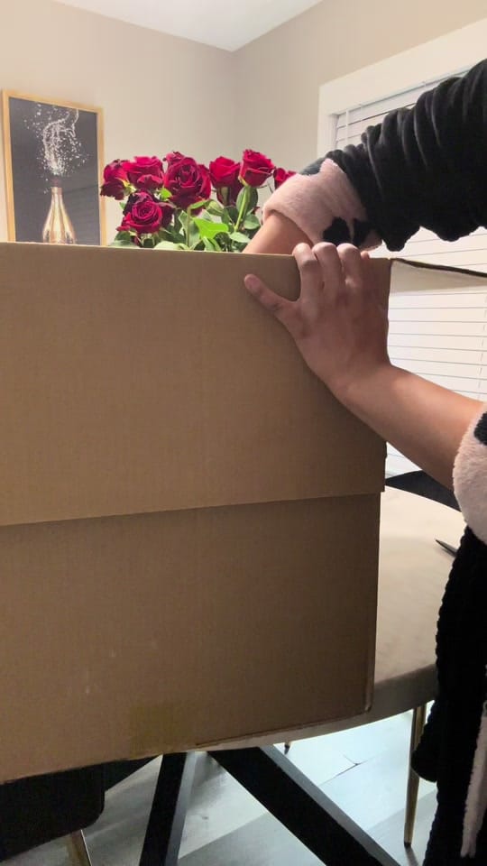 Post 7 by Jai Bee on TikTok (video)
