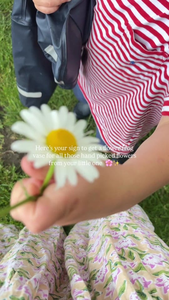 Post 3 by Regent lodge on TikTok (video)
