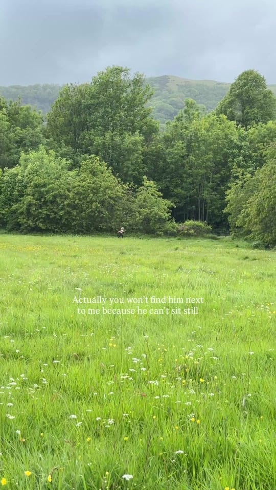 Post 8 by Regent lodge on TikTok (video)