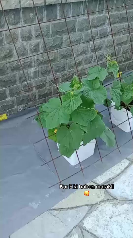 Post 9 by Jeta kitchen on TikTok (video)