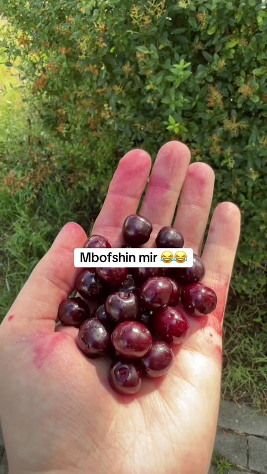 Post 5 by Jeta kitchen on TikTok (video)