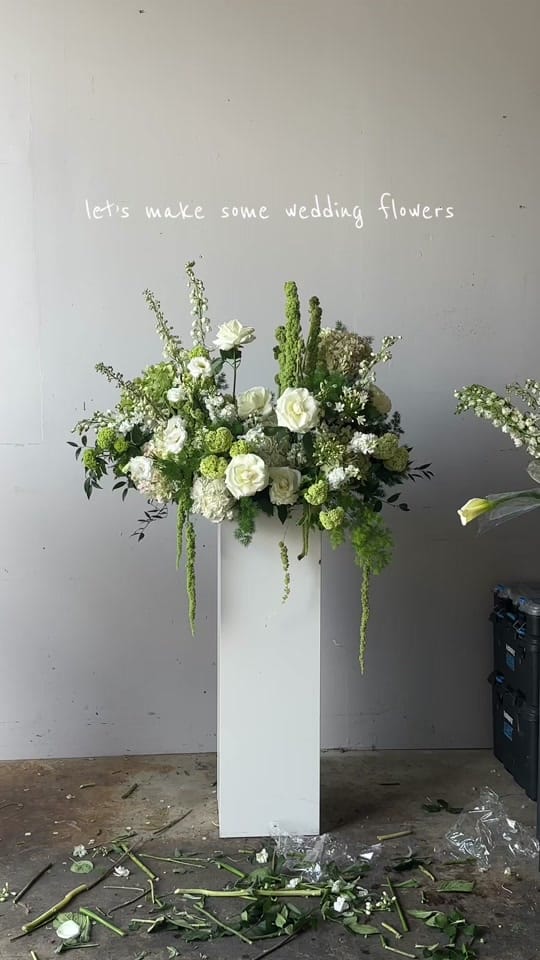 Post 2 by Alex Elkin on TikTok (video)