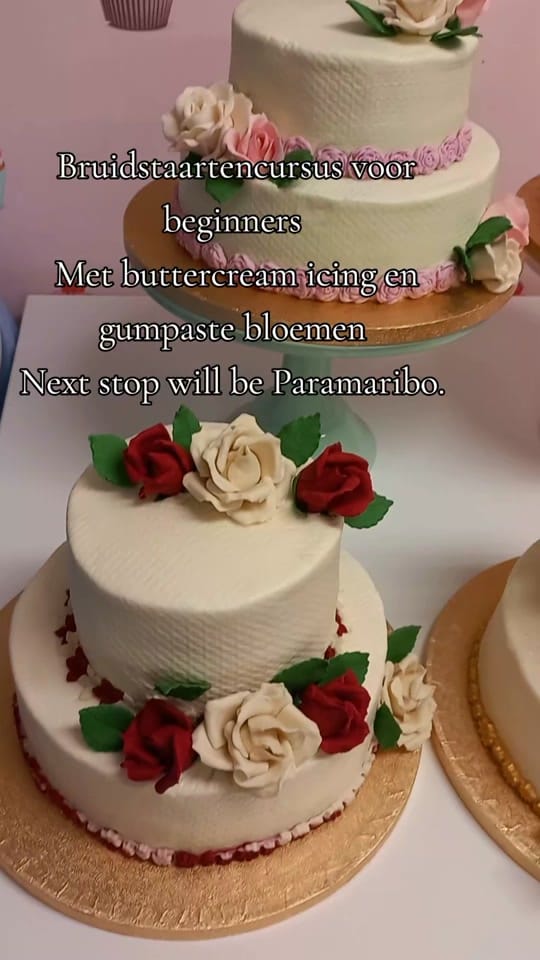 Post 1 by Roberta Pinas on TikTok (video)