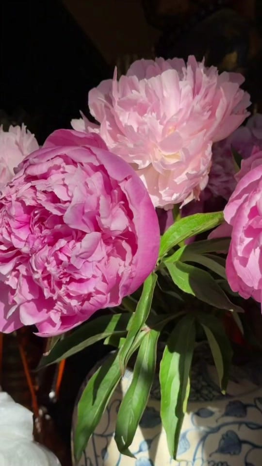 Post 2 by chenche_berlin.0 on TikTok (video)