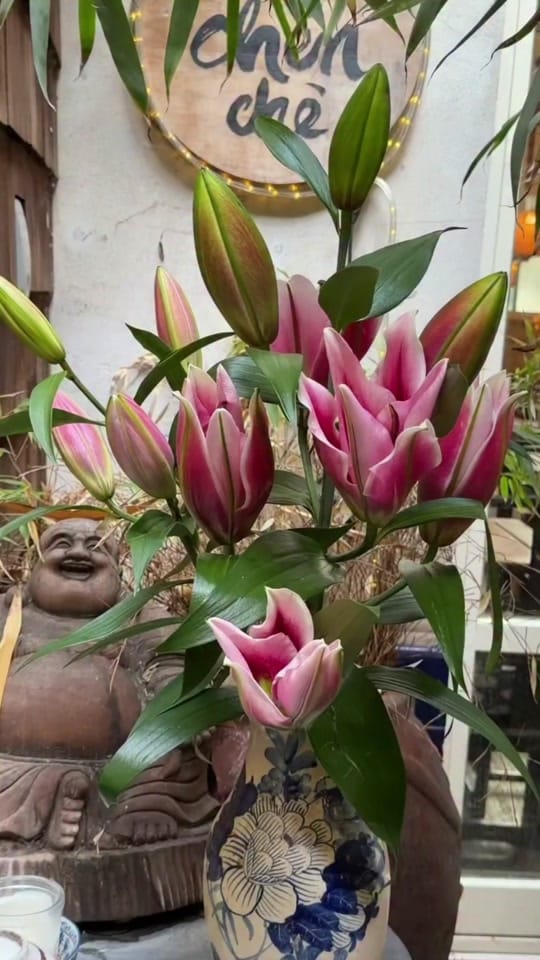 Post 7 by chenche_berlin.0 on TikTok (video)