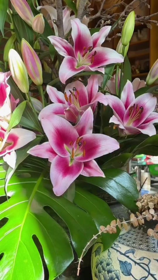 Post 3 by chenche_berlin.0 on TikTok (video)