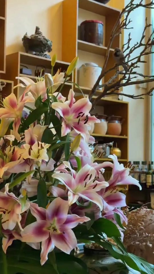 Post 1 by chenche_berlin.0 on TikTok (video)