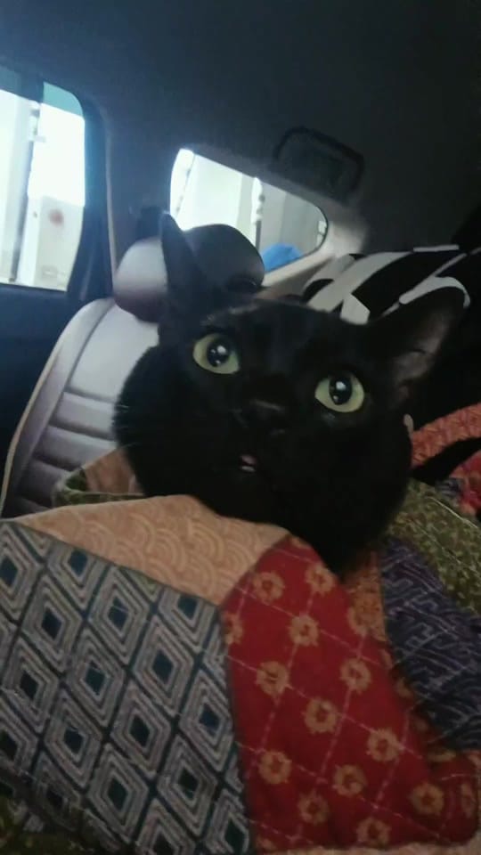 Post 6 by Jam ᥫ᭡ on TikTok (video)
