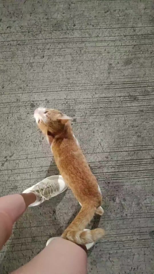 Post 2 by Jam ᥫ᭡ on TikTok (video)