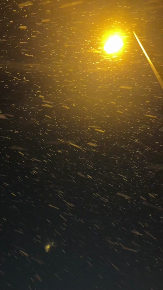 Post 7 by _withmandie on TikTok (video)