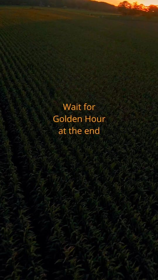 Post 6 by Edison on TikTok (video)