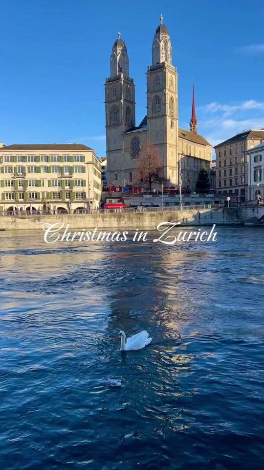 Post 6 by Buse Ozdil on TikTok (video)