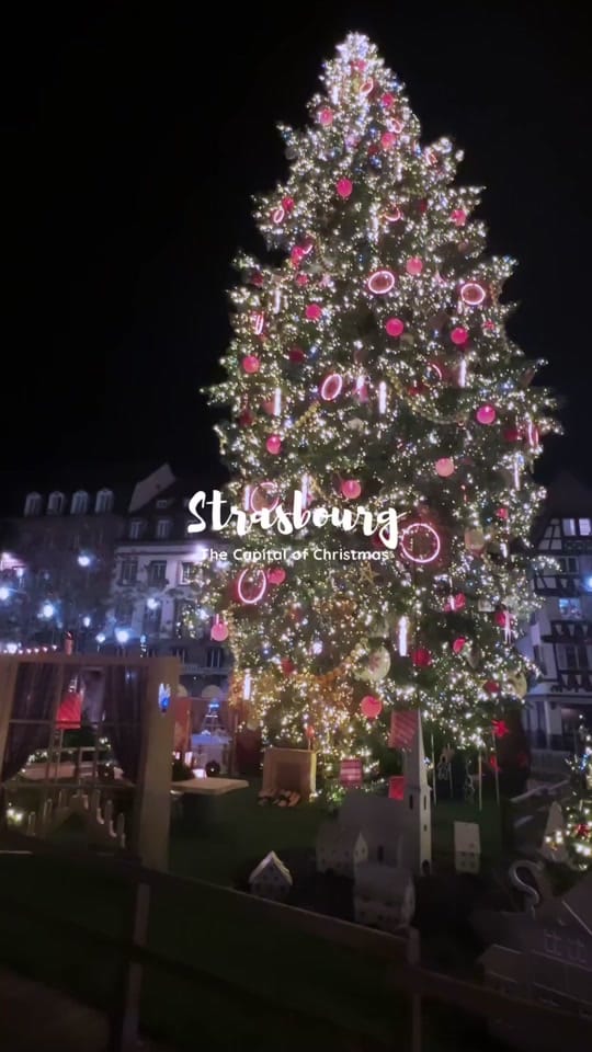 Post 4 by Buse Ozdil on TikTok (video)