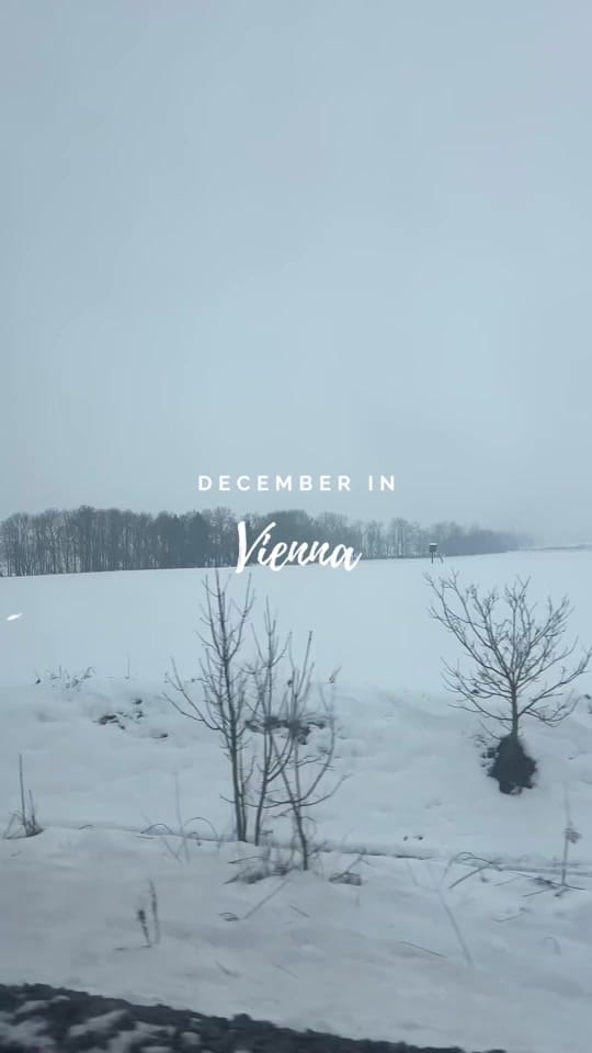 Post 2 by Buse Ozdil on TikTok (video)