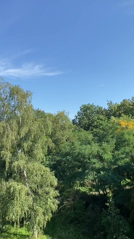 Post 9 by Buse Ozdil on TikTok (video)