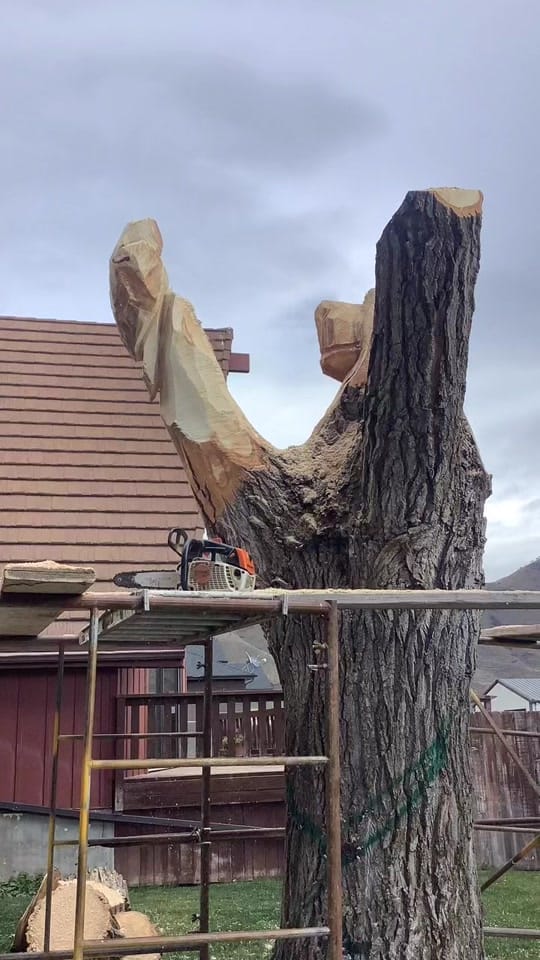 Post 9 by Sean Cudney on TikTok (video)